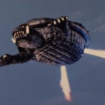 Gamera